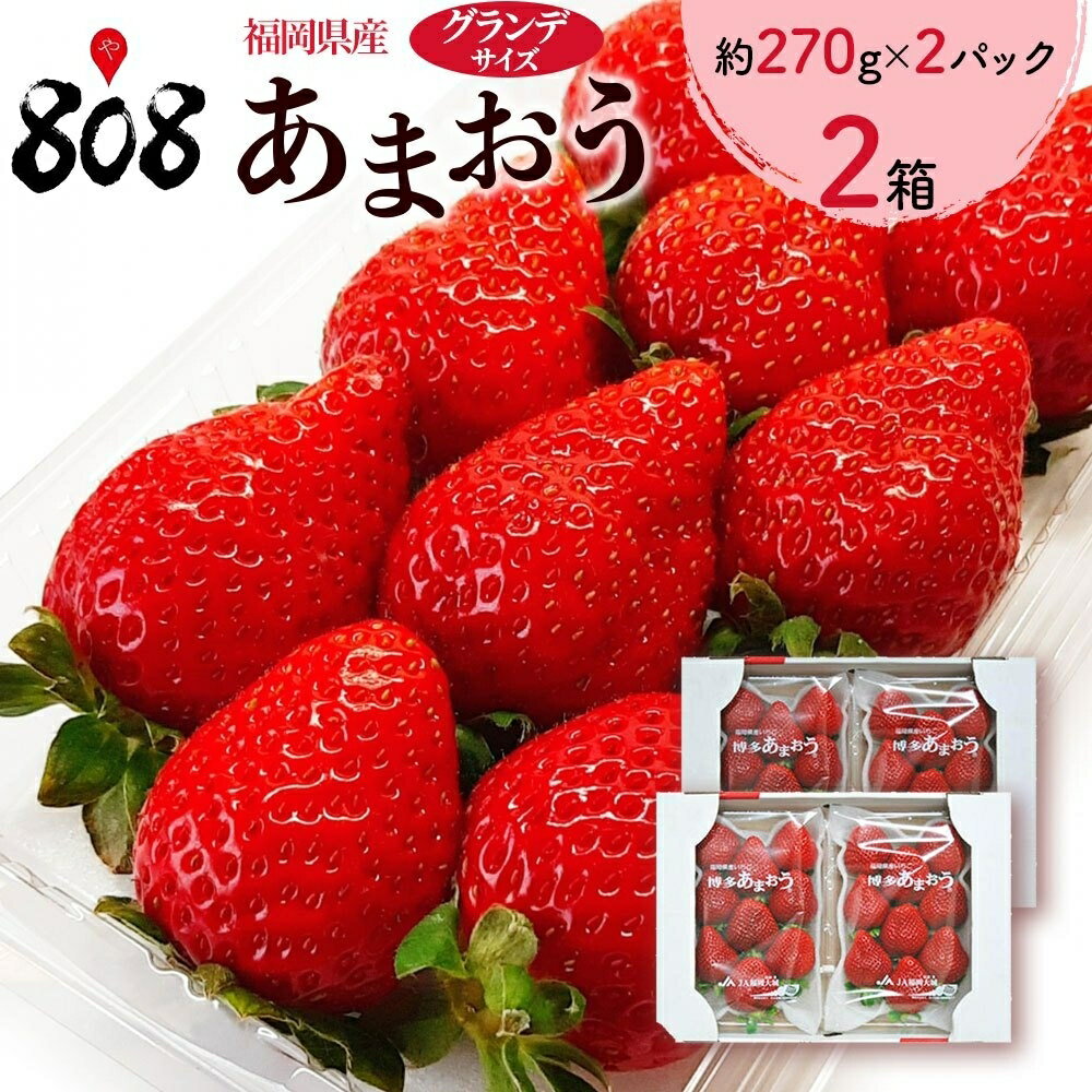 いちご 【送料無料】【福岡県産】あまおう　グランデサイズ　2箱 約270g×4パック(北海道沖縄別途送料加算)