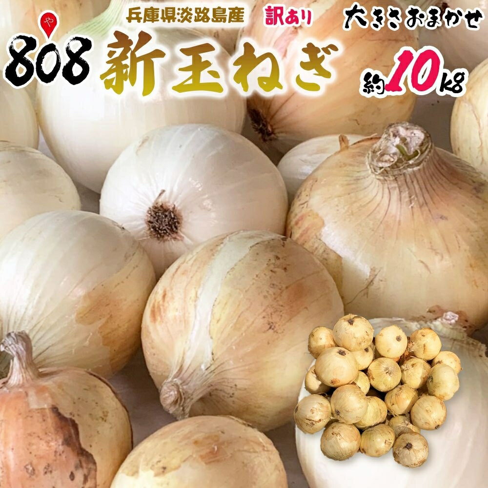 【送料無料】【兵庫県淡路島産】訳あり　新玉ねぎ　大きさおまかせ　約10kg(北海道沖縄別途送料加算)