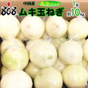 【送料無料】【中国産】ムキ玉ねぎ 真空パック 1箱 約10kg(北海道沖縄別途送料加算)