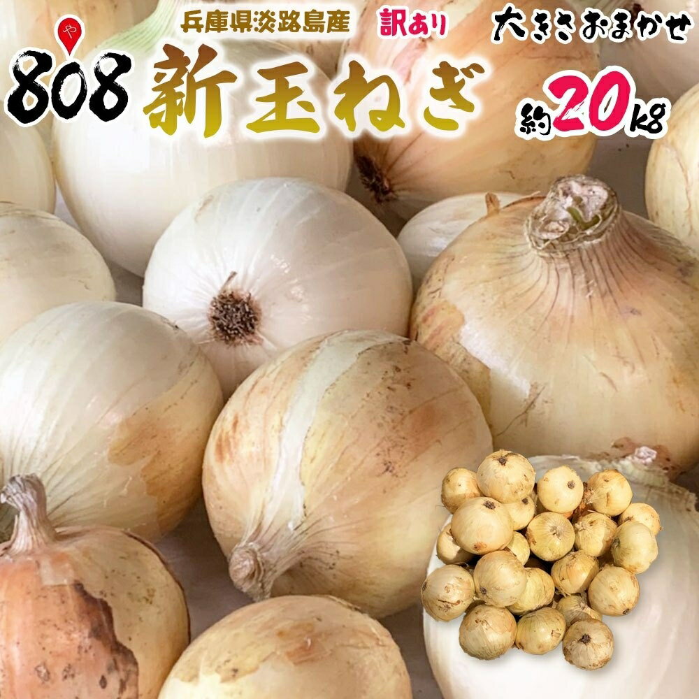 【送料無料】【兵庫県淡路島産】訳あり新玉ねぎ 大きさおまかせ 約20kg 北海道沖縄別途送料加算 