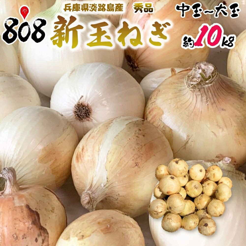【送料無料】【兵庫県淡路島産】秀品　新玉ねぎ　中玉〜大玉　約10kg(北海道沖縄別途送料加算)のサムネイル