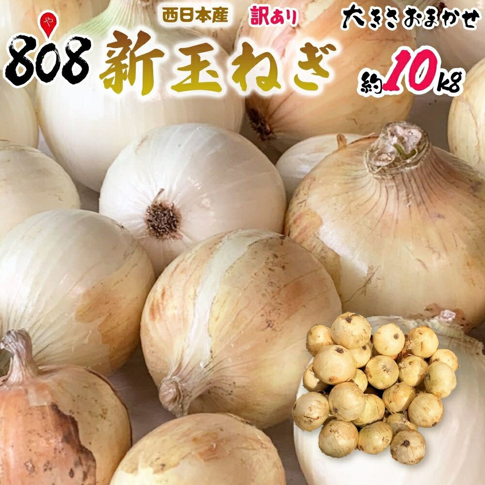 【送料無料】【西日本産】訳あり　新玉ねぎ　大きさおまかせ　約10kg(北海道沖縄別途送料加算)