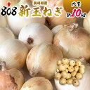 新玉ねぎ 大玉 約10kg(北海道沖縄別途送料加算)