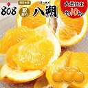 【送料無料】【西日本産】訳あり　