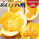 【送料無料】【西日本産】訳あり 八朔 大きさお任せ 約10kg (北海道沖縄別途送料加算)