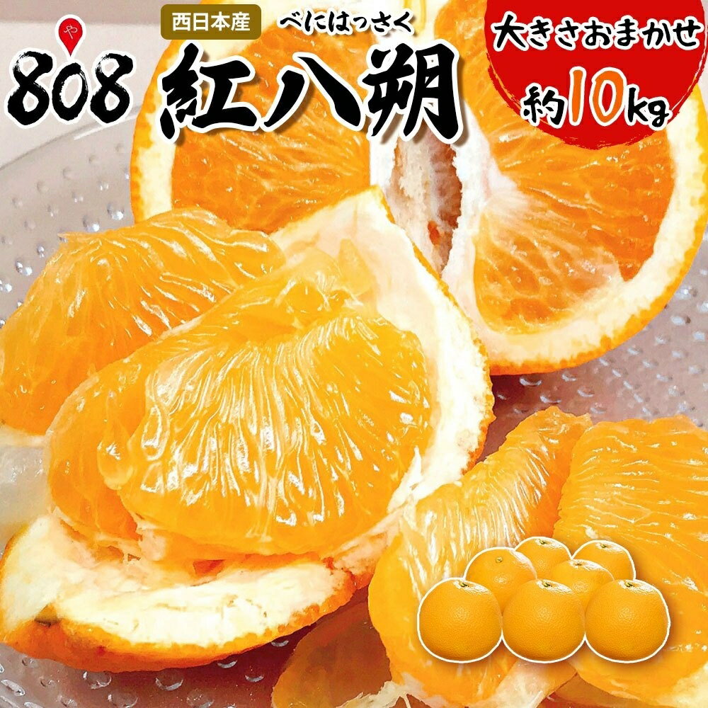 【送料無料】【熊本県他西日本産】紅八朔　大きさおまかせ　約10kg(北海道沖縄別途送料加算)