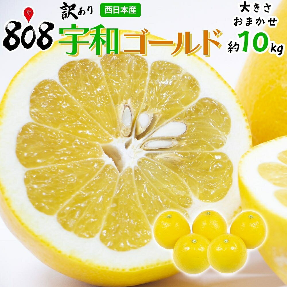 【送料無料】【愛媛県産】訳あり　宇和ゴールド　大きさおまかせ