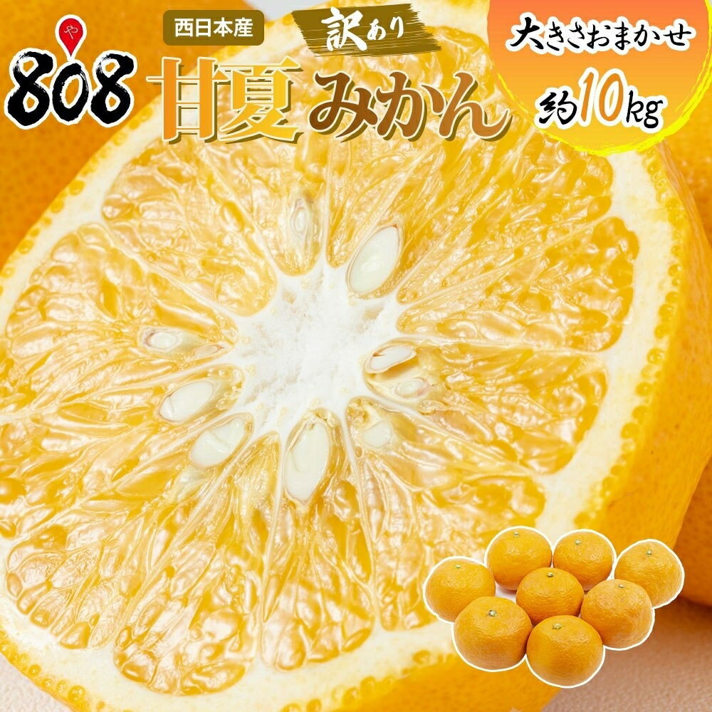 【送料無料】【西日本産】訳あり　甘夏みかん　大きさおまかせ　約10kg(北海道沖縄別途送料加算)