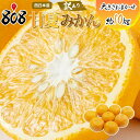 【送料無料】【西日本産】訳あり 甘夏みかん 大きさおまかせ 約10kg(北海道沖縄別途送料加算)