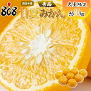 【送料無料】【愛媛県産】秀品 甘夏みかん 大玉限定 約10kg(北海道沖縄別途送料加算)