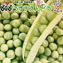 【送料無料】【和歌山県/長崎県産】訳あり　うすいえんどう　大きさお任せ　約2kg(北海道沖縄別途送料加算)