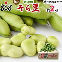 【送料無料】【長崎県産ほか西日本産】そら豆 大きさおまかせ 約2kg(北海道沖縄別途送料加算)