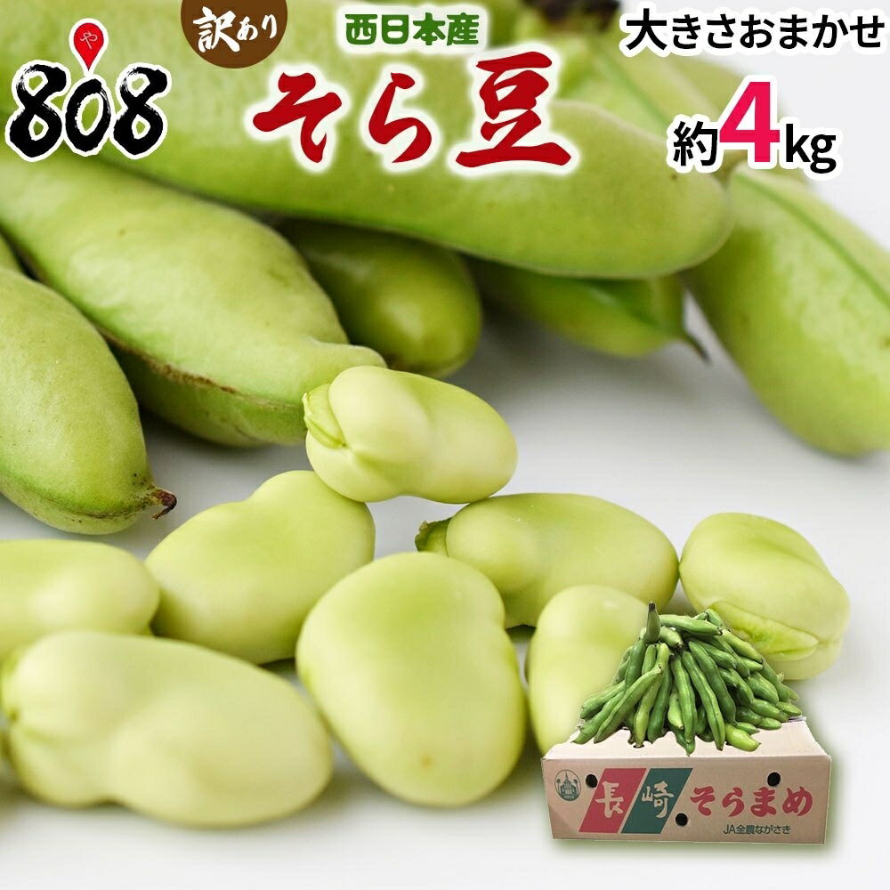 【送料無料】【長崎県産ほか西日本産】そら豆 大きさおまかせ 約4kg 北海道沖縄別途送料加算 