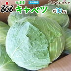 【送料無料】【産地厳選】低農薬 キャベツ 1箱 大きさお任せ 約10kg(北海道沖縄別途送料加算)