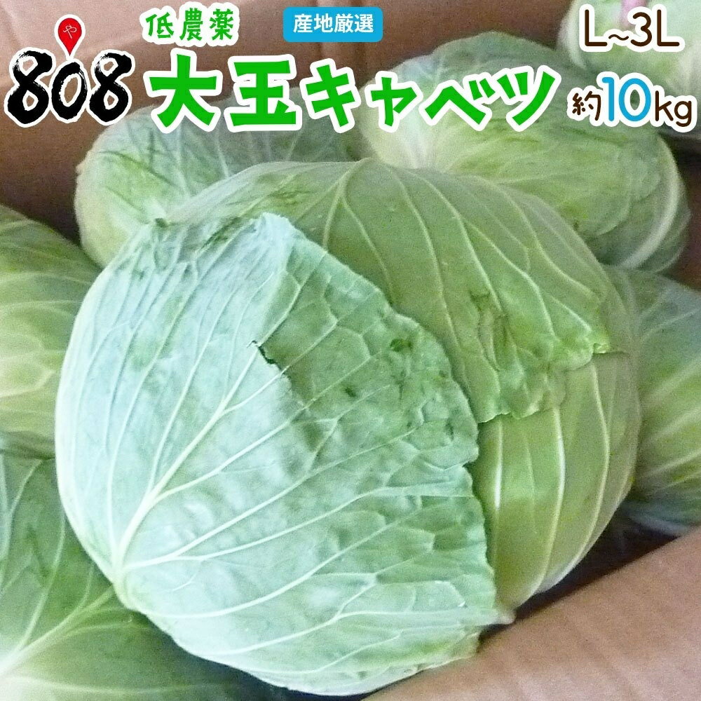 【送料無料】【産地厳選】低農薬 大玉キャベツ 1箱 L〜3Lサイズ 約10kg以上(北海道沖縄別途送料加算)