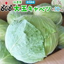 低農薬 大玉キャベツ 1箱 L〜3Lサイズ 約10kg以上(北海道沖縄別途送料加算)