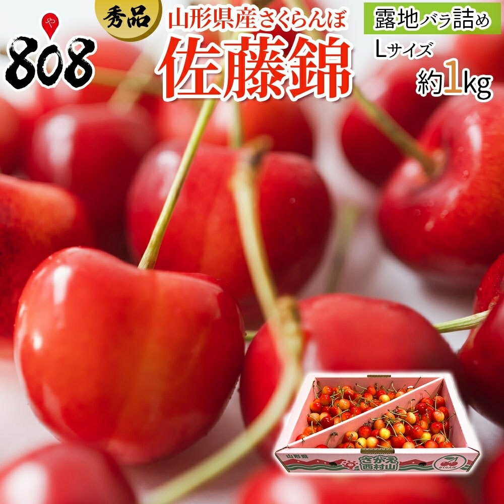 【送料無料】【山形県産】秀品 佐藤錦 露地バラ詰め Lサイズ 約1kg(北海道沖縄別途...