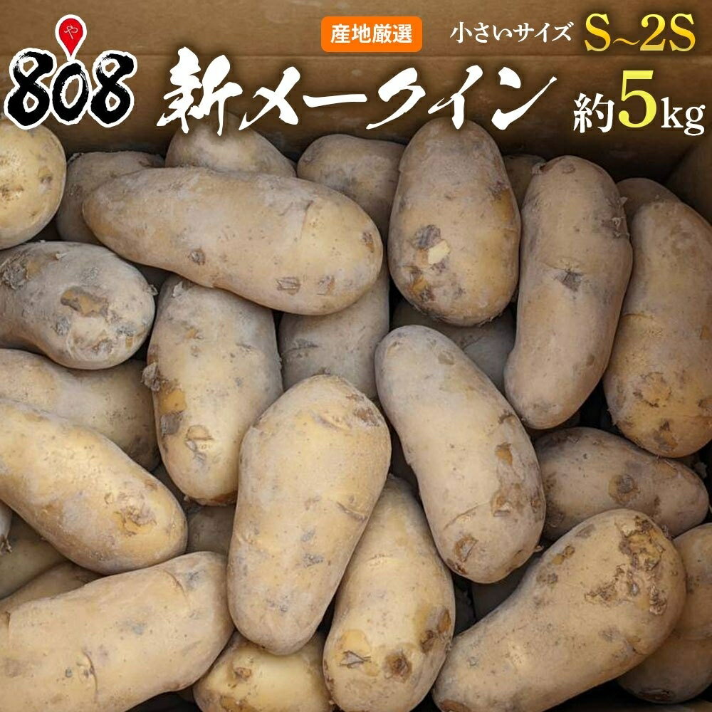 【送料無料】【長崎県産】新メークイン　S〜2Sサイズ　約5kg(北海道沖縄別途送料加算)