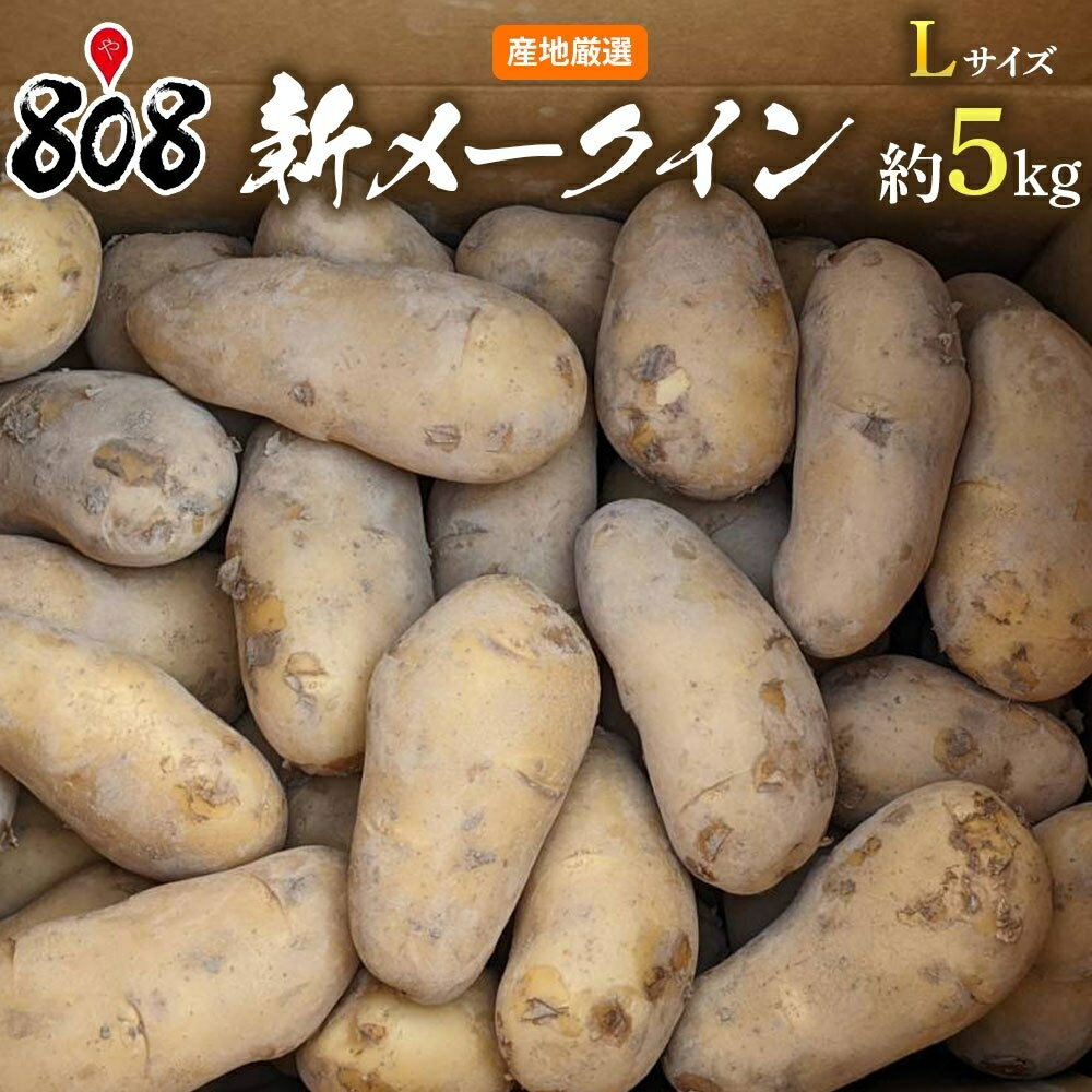 【送料無料】【長崎県産】新メークイン Lサイズ 約5kg(北海道沖縄別途送料加算)