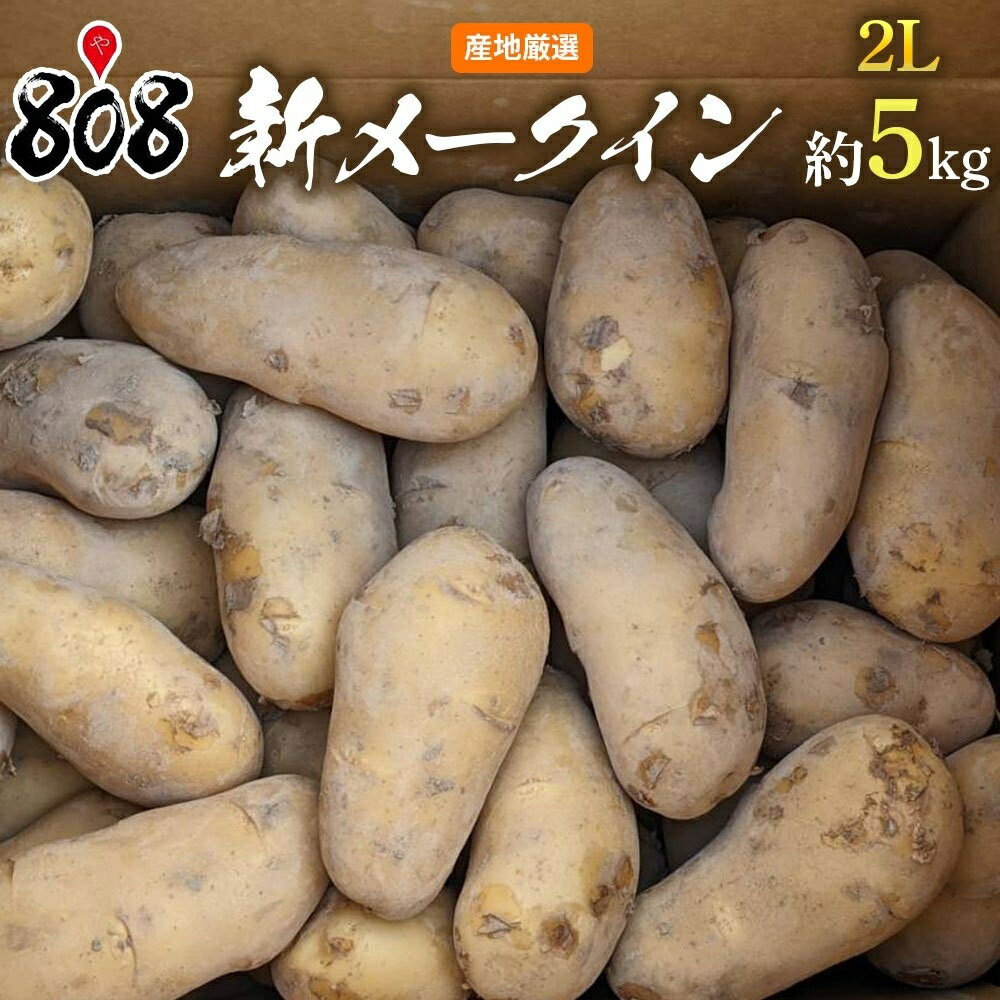 【送料無料】【長崎県産】新メークイン 2Lサイズ 約5kg(北海道沖縄別途送料加算)