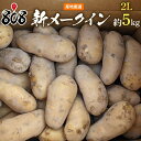 【送料無料】【長崎県産】新メーク