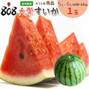 【送料無料】【鳥取県産】秀品 大栄すいか 特大5L~6Lサイズ 1玉 約10~12kg(北海道沖縄別途送料加算)