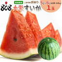 【送料無料】【鳥取県産】訳あり 大栄すいか 特大5L~6Lサイズ 1玉 約10~12kg(北海道沖縄別途送料加算)