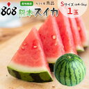 【送料無料】【産地厳選】秀品 すいか 選べるサイズ 1玉入り(北海道沖縄別途送料加算)