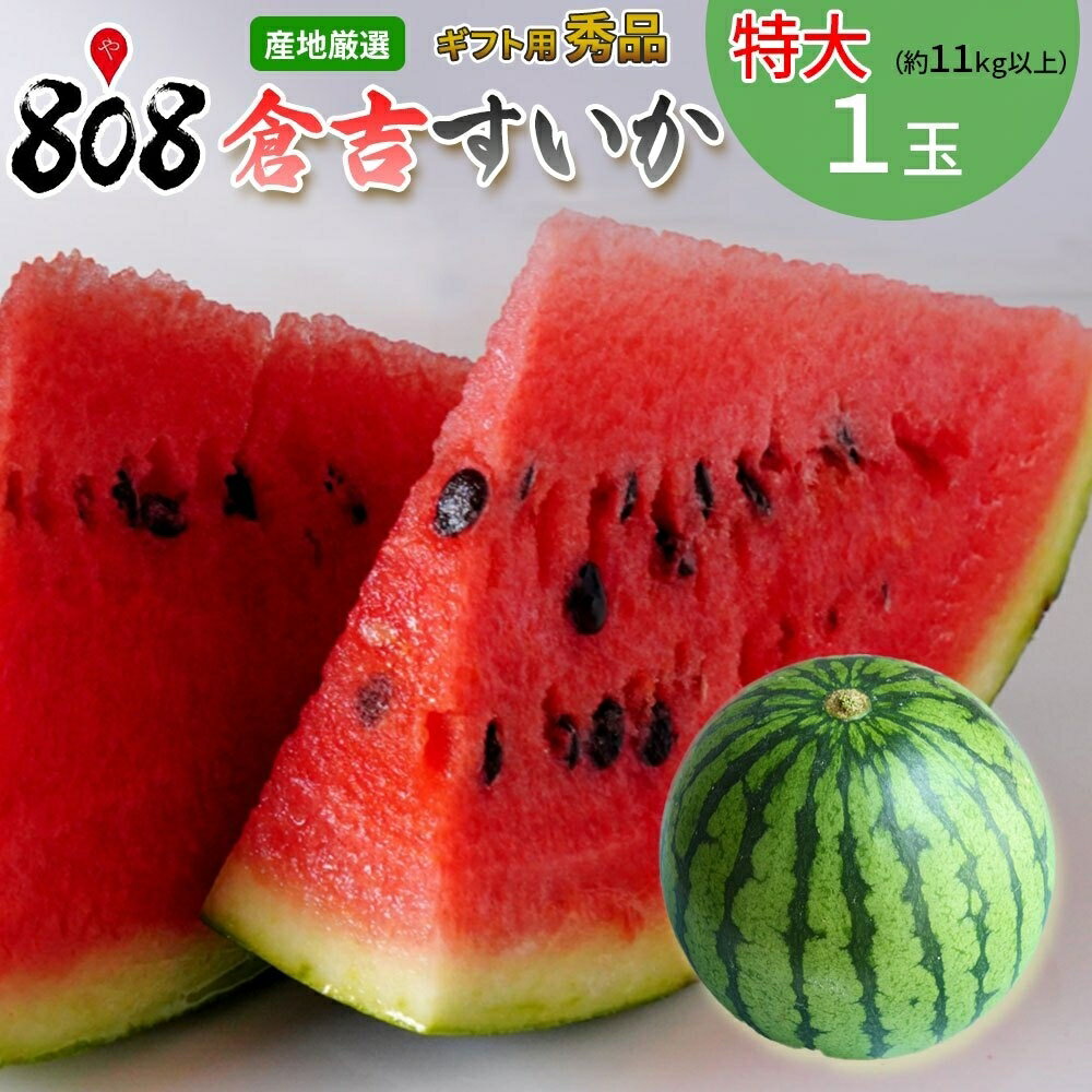 【送料無料】【鳥取県産】秀品　倉吉すいか　特大　約11kg以上(北海道沖縄別途送料加算)のサムネイル
