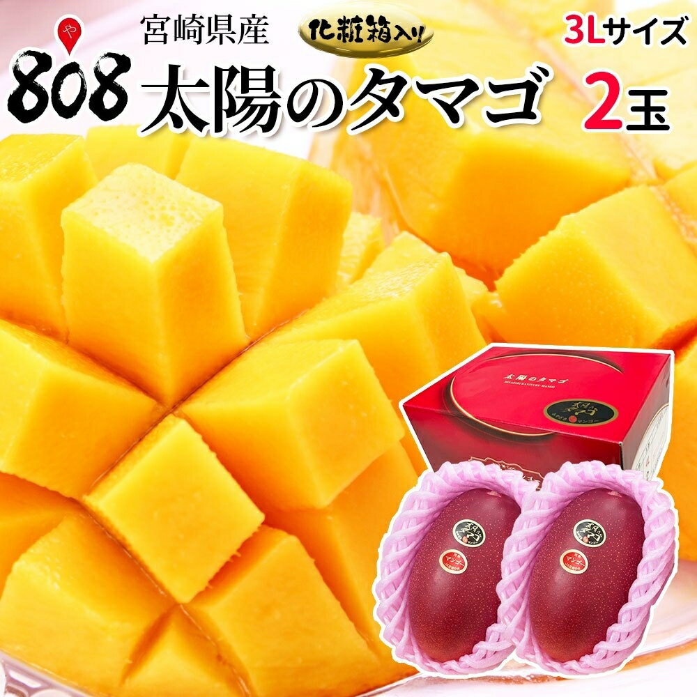 マンゴー 【送料無料】【宮崎県産】太陽のタマゴ 化粧箱入 3Lサイズ2玉（460g〜509g×2玉）(北海道沖縄別途送料加算)