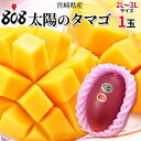 【送料無料】【宮崎県産】太陽のタマゴ 2L〜3Lサイズ 1玉(北海道沖縄別途送料加算)