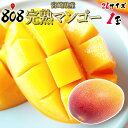 【送料無料】【宮崎県産】完熟マンゴー 2Lサイズ 約350g〜459g 1玉(北海道沖縄別途送料加算)