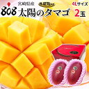 楽天限定【送料無料】【宮崎県産】太陽のタマゴ 化粧箱入 4Lサイズ2玉(510g~649g×2玉)(北海道沖縄別途送料加算)