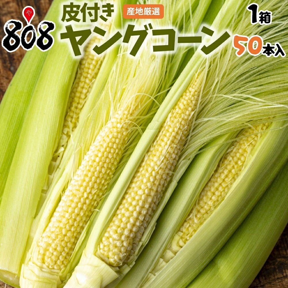 【送料無料】【徳島県産】皮付きヤ