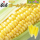 【送料無料】【西日本産】ゴールドラッシュ 1箱 約4kg(北海道沖縄別途送料加算)