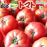 【送料無料】【西日本産】超ビッグサイズ　トマト　1箱　12〜16玉入(北海道沖縄別途送料加算)