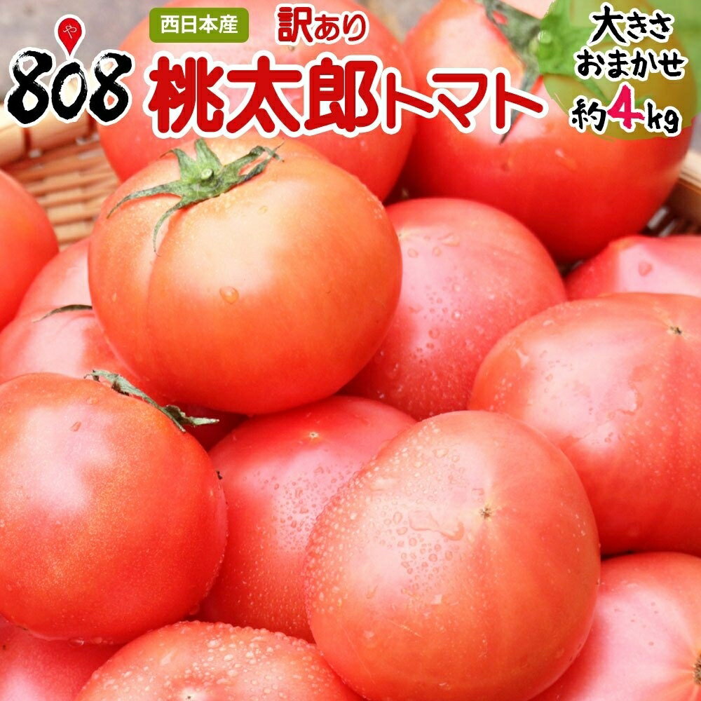 【送料無料】【西日本産】訳あり 桃太郎トマト 大きさおまかせ　約4kg(北海道沖縄別途送料加算)