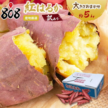 【送料無料】【産地厳選】訳あり　紅はるか　大きさおまかせ　約5kg(北海道沖縄別途送料加算)