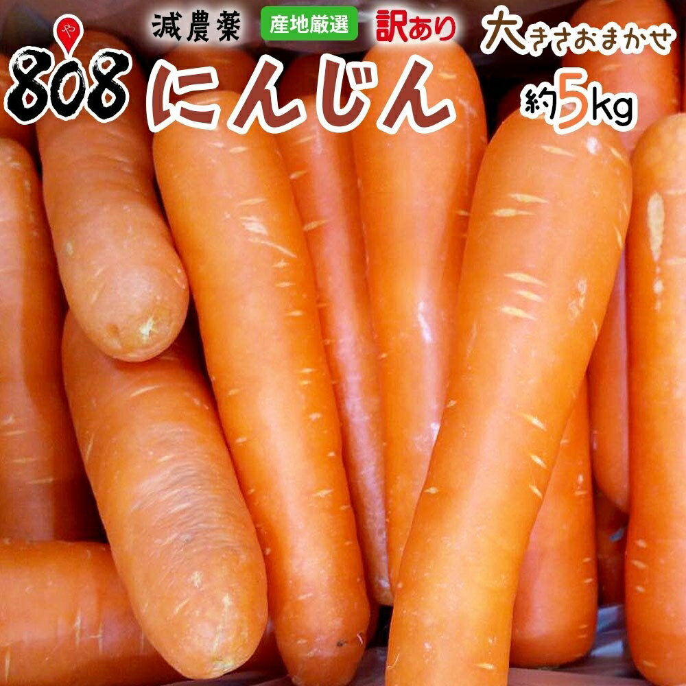 【送料無料】【産地厳選】訳あり　人参　大きさお任せ　約5kg(北海道沖縄別途送料加算)