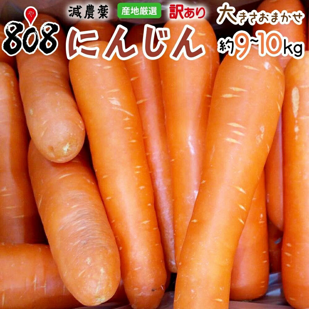 ̵ۡڻϸꡡͻ礭ޤ910kg(̳ƻû)