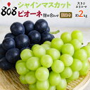 【送料無料】【産地厳選】訳あり シャインマスカット ピオーネ 詰め合わせ 大きさおまかせ 約2kg(北海道沖縄別途送料加算)