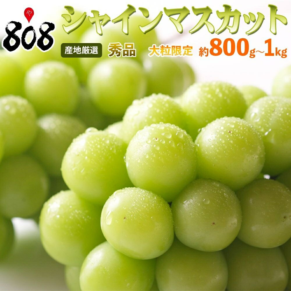 【送料無料】【産地厳選】秀品　シャインマスカット　大粒限定　約800g〜1kg(北海道沖縄別途送料加算)