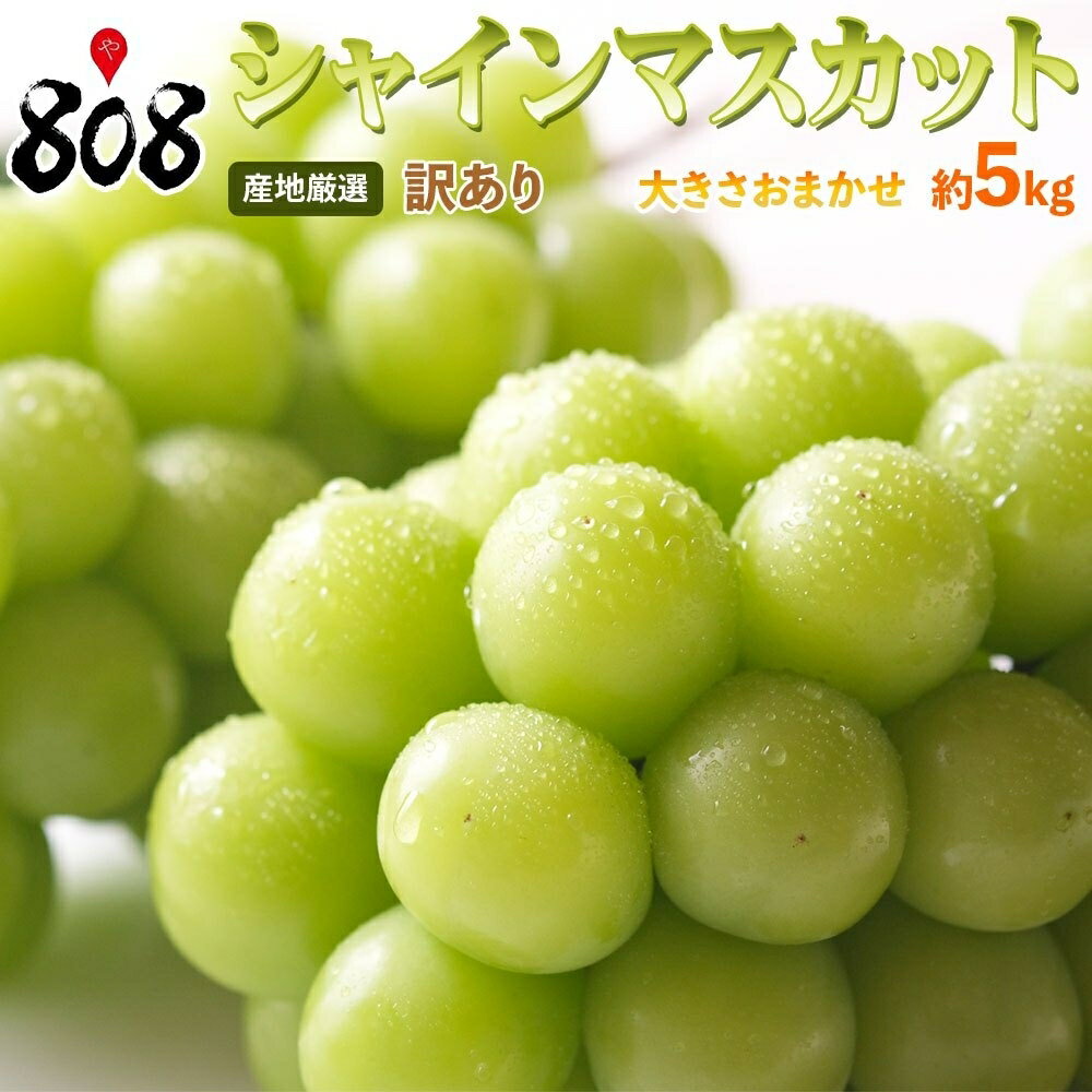 【送料無料】【産地厳選】訳あり　シャインマスカット　大きさお任せ　約5kg(北海道沖縄別途送料加算)のサムネイル