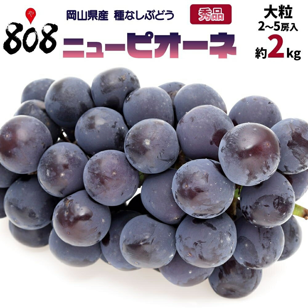 【送料無料】【岡山県産】秀品　ニューピオーネ　大粒　2〜5房入　1箱　約2kg(北海道沖縄別途送料加算)のサムネイル