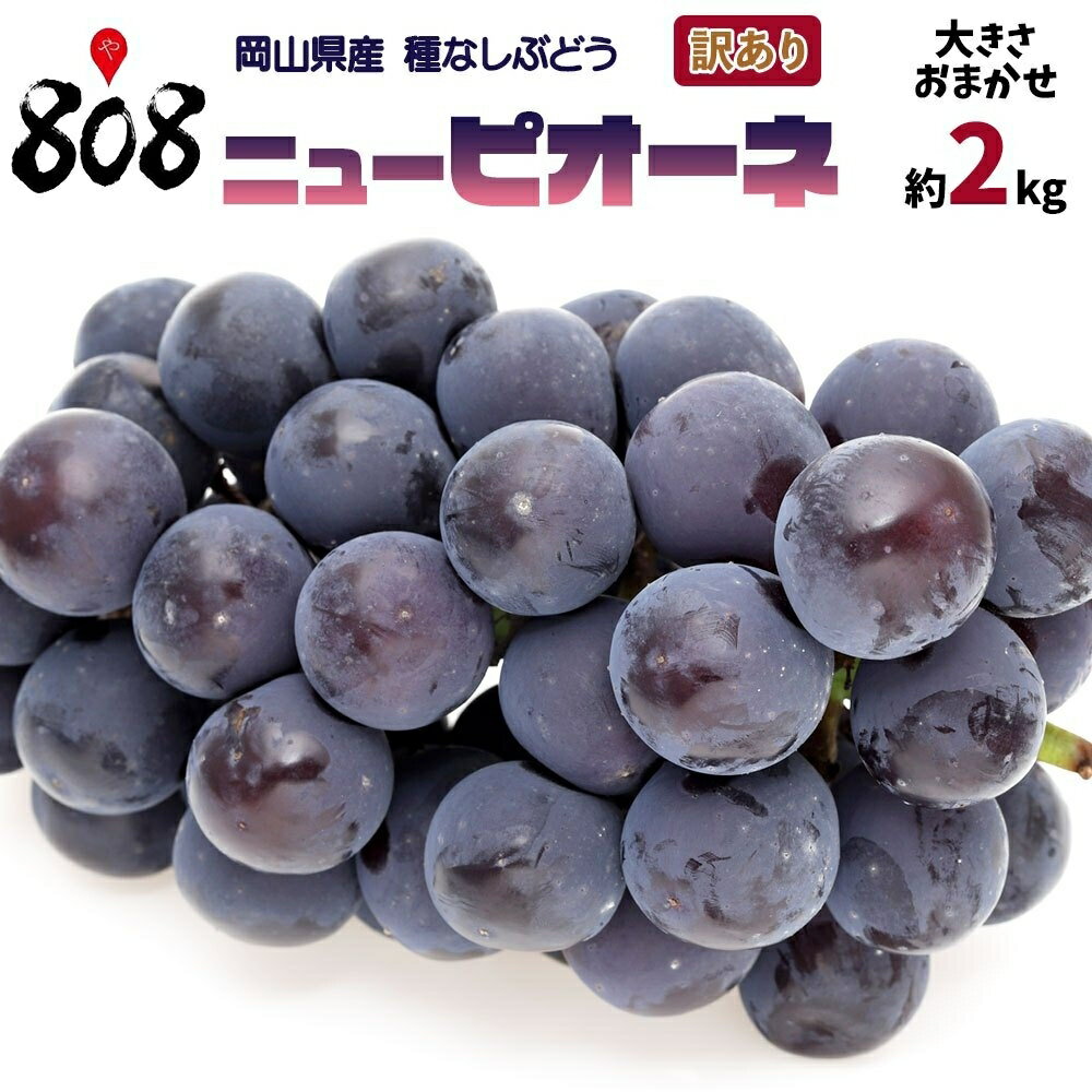 【送料無料】【岡山県産】訳あり　ニューピオーネ　大きさおまかせ　1箱　約2kg(北海道沖縄別途送料加算)