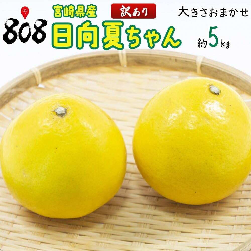 【送料無料】【宮崎県産】訳あり日向夏ちゃん 大きさおまかせ 約5kg(北海道沖縄別途送料加算)のサムネイル