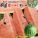【送料無料】【兵庫県淡路島産】訳あり祭ばやしすいか 777 特大 1玉入 約9~11kg(北海道沖縄別途送料加算)