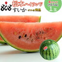 【送料無料】【長野県産】秀品 松本ハイランド 4Lサイズ 1玉9.5kg以上 (北海道沖縄別途送料加算)