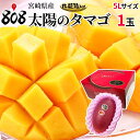 【送料無料】【宮崎県産】太陽のタマゴ 5Lサイズ 専用化粧箱入 1玉(北海道沖縄別途送料加算)