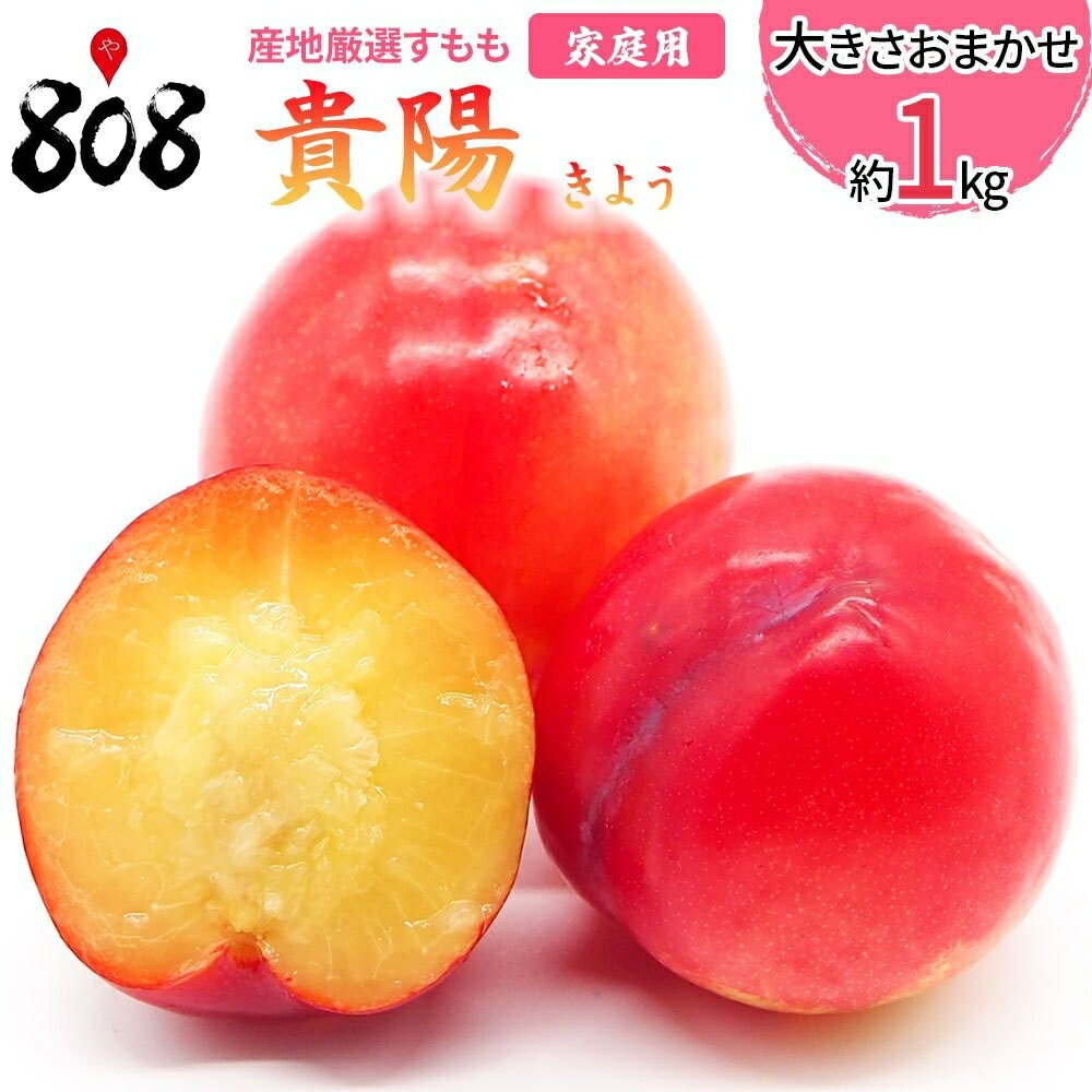 【送料無料】【産地厳選】貴陽　すもも(プラム)　家庭用　大きさお任せ　約1kg(北海道沖縄別途送料加算)のサムネイル